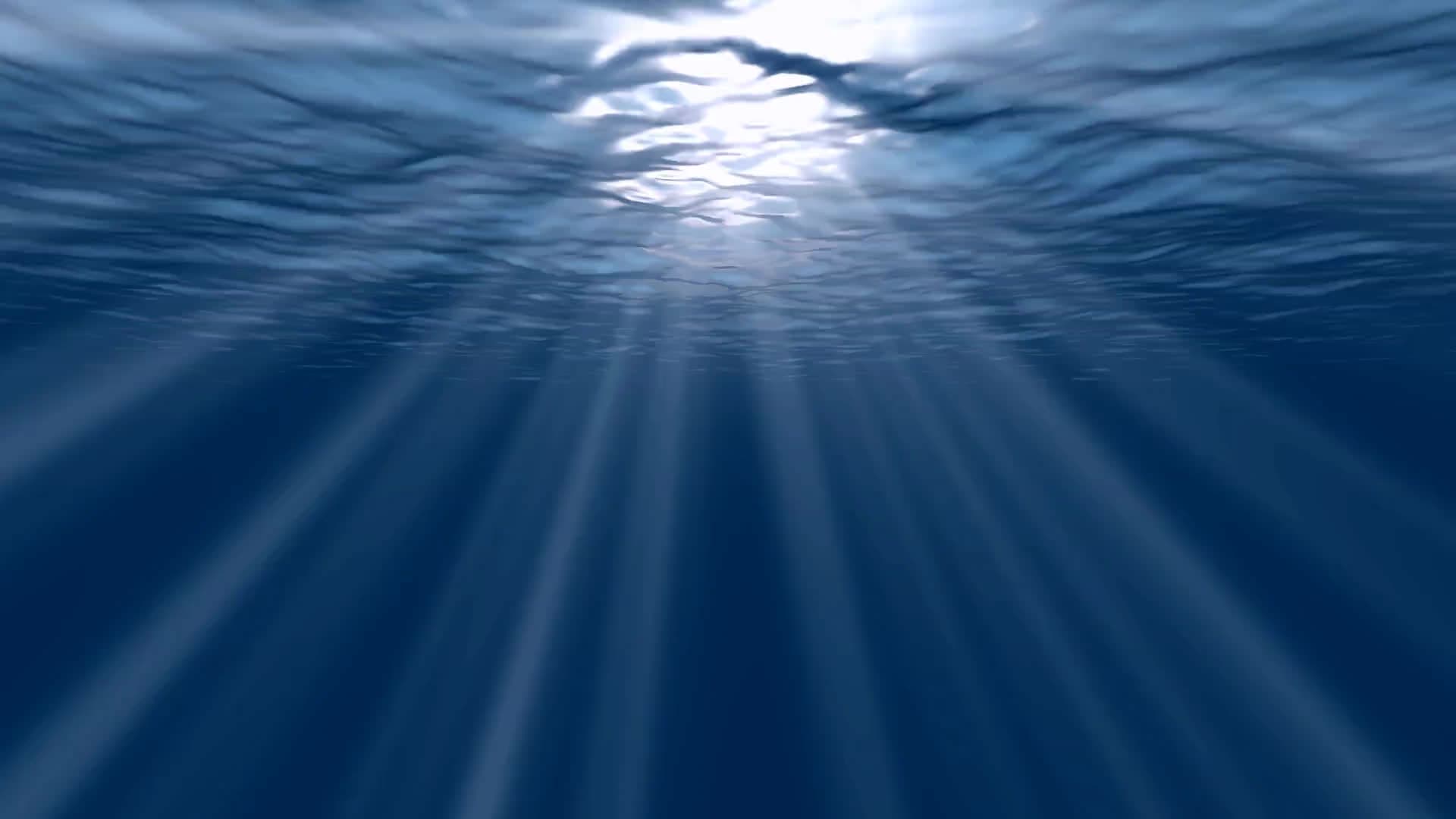 Freediving underwater