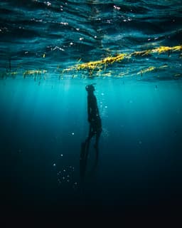 Blood Shift: How Your Body Protects Your Lungs at Depth