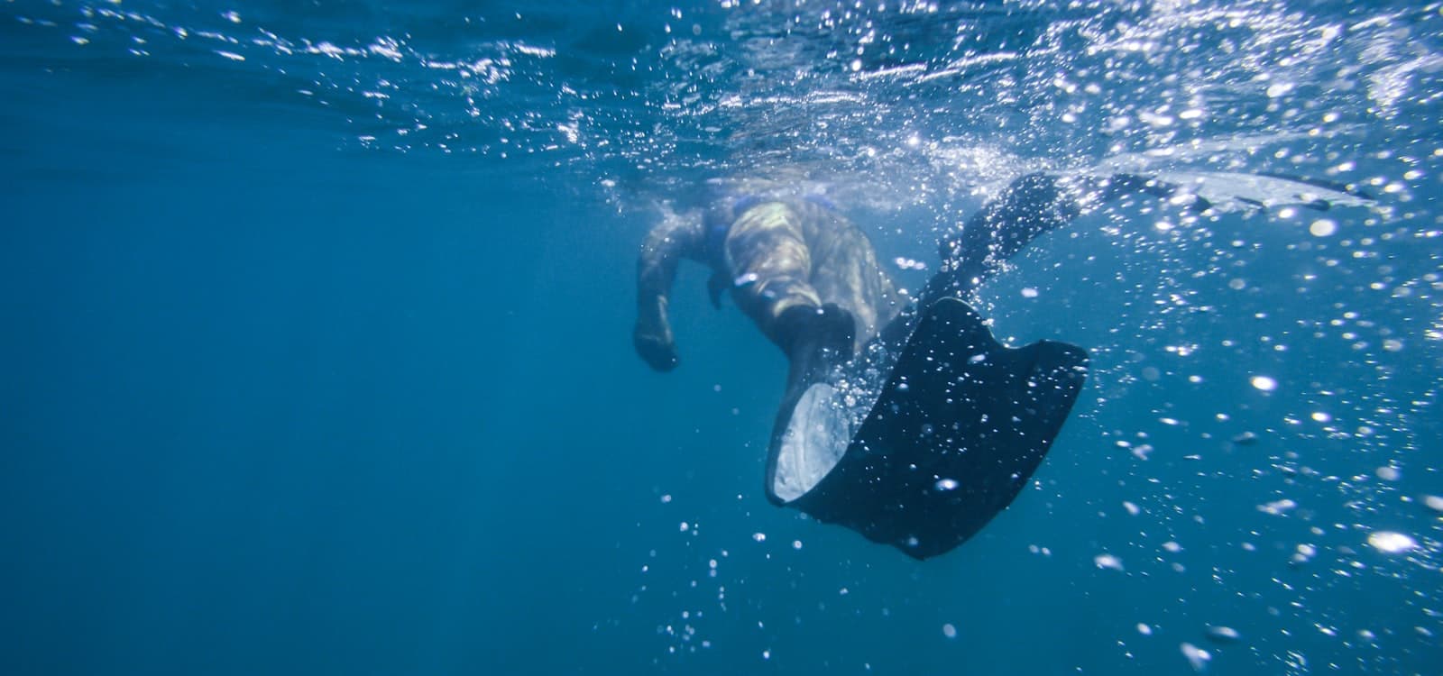 Freediving vs Scuba Diving: Key Differences Explained