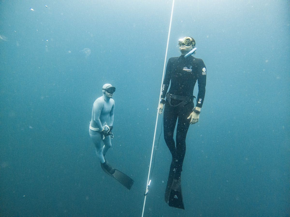 PADI vs Molchanovs Freediving Courses in Melbourne: Which Should You Choose?