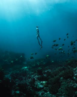 Freediving Safety: The Buddy System - Your Lifeline Underwater