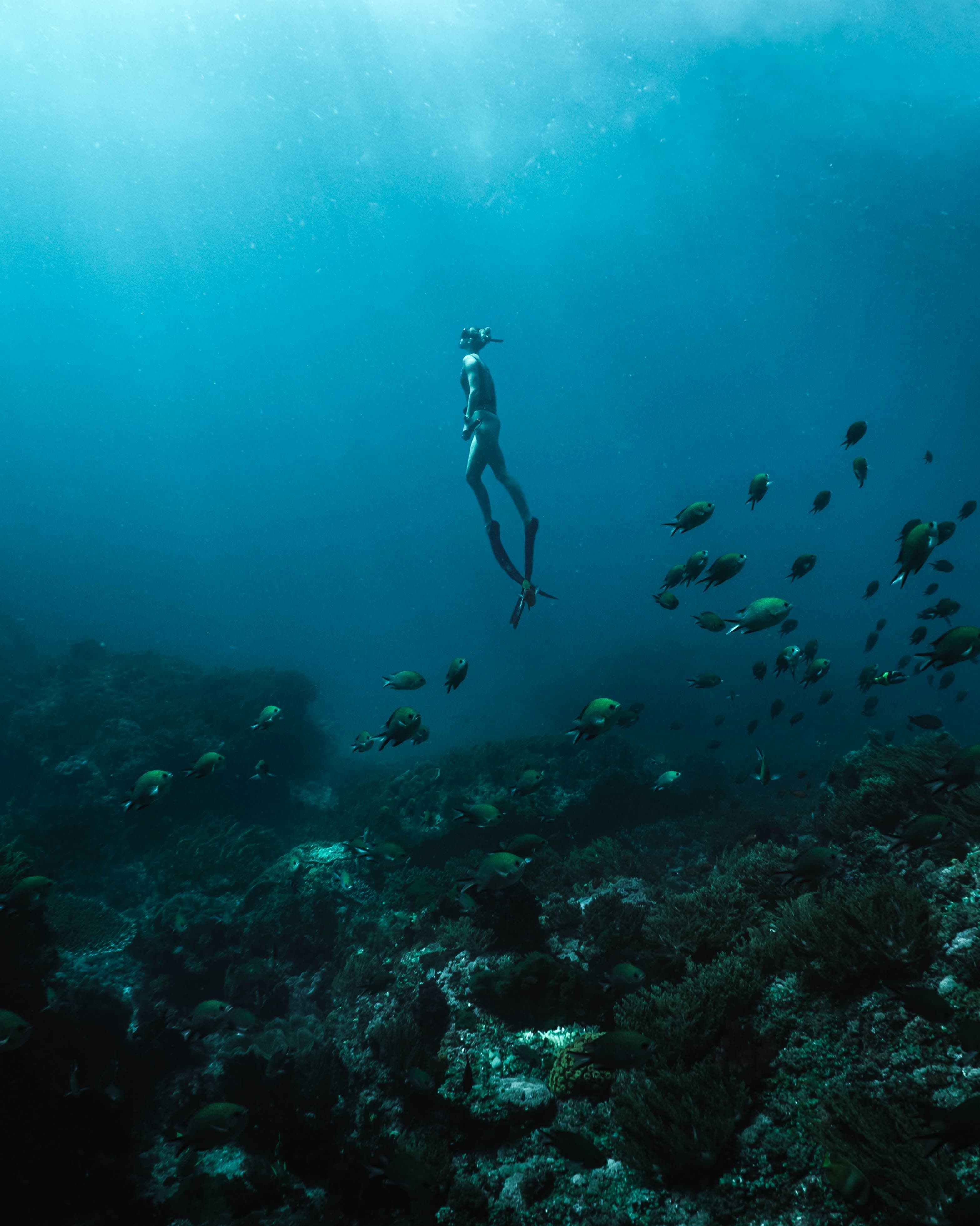 Freediving Safety: The Buddy System - Your Lifeline Underwater