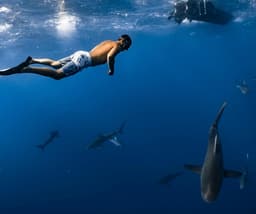 The Mammalian Dive Reflex: Your Body's Ancient Diving System
